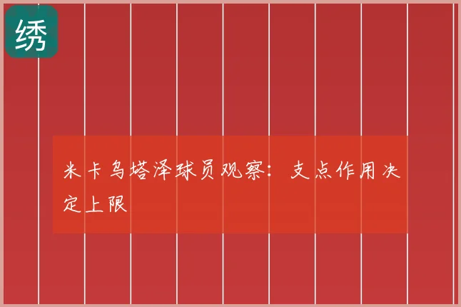 米卡乌塔泽球员观察:支点作用决定上限